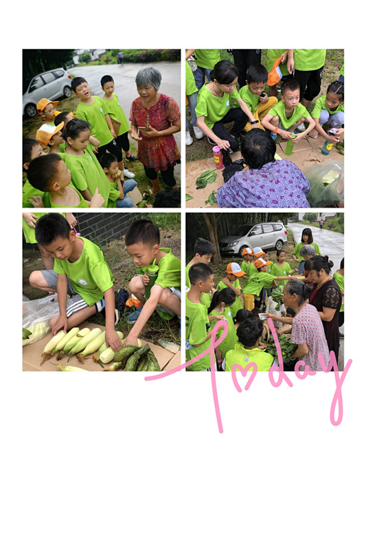 1563523189844348.jpg 微信圖片_20190718184430_副本.jpg