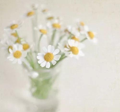 1568688633422679.jpg 微信圖片_20190916103344.jpg