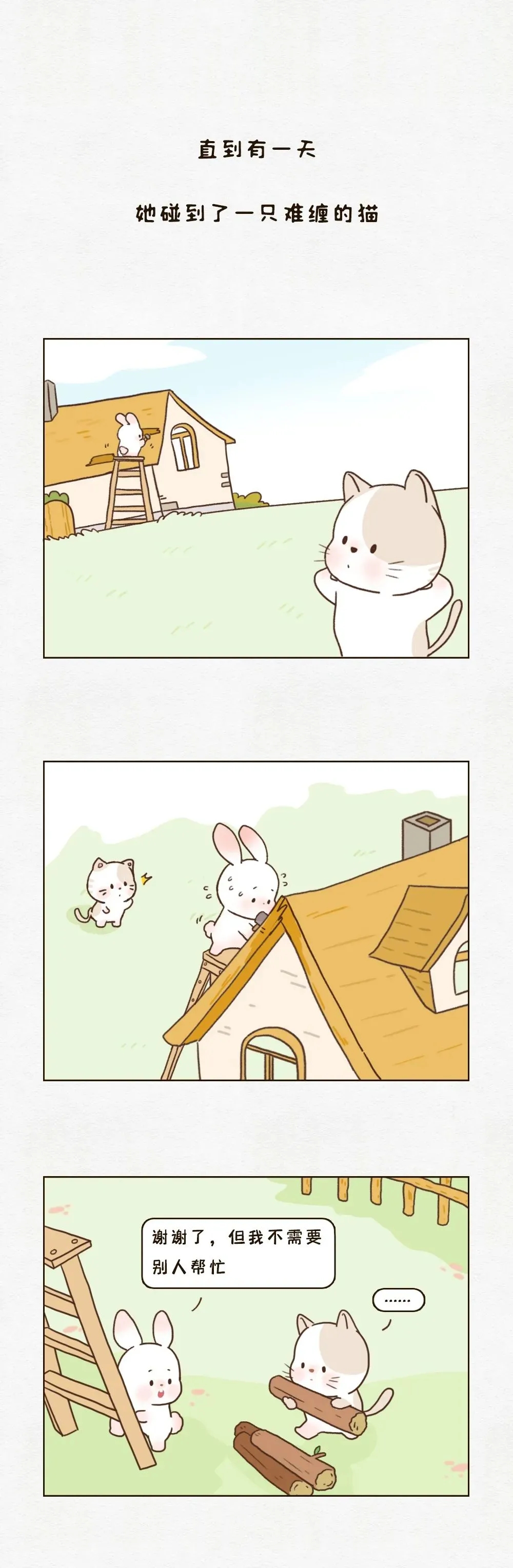 1610607170429324.jpg 640.webp (5).jpg