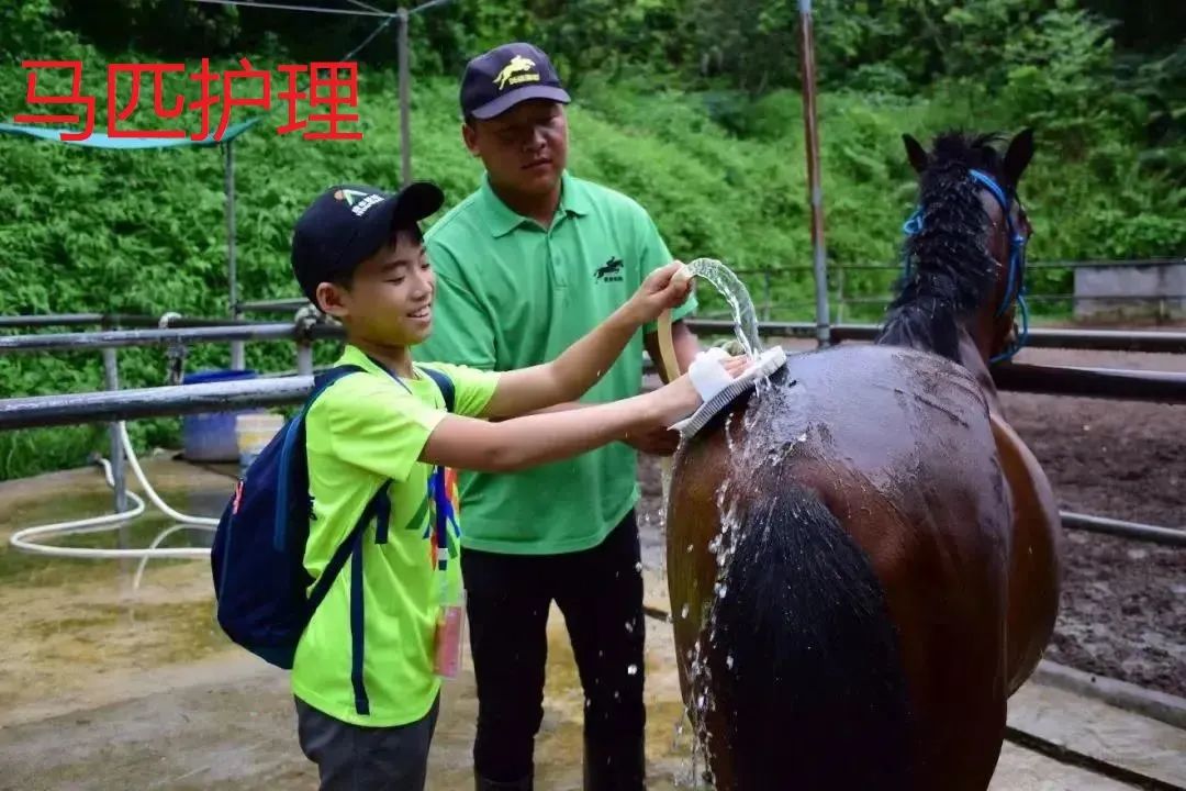 1657097628846519.jpg 7.jpg